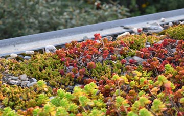 the cost of Bloxham green roof installation