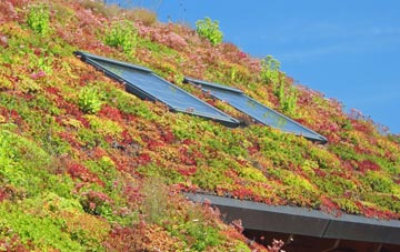 Bloxham living roof systems