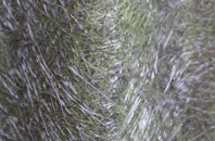 Bloxham fibreglass roof work